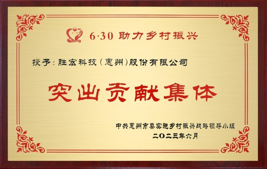 lewin乐玩科技荣获乡村振兴“突出贡献集体”奖